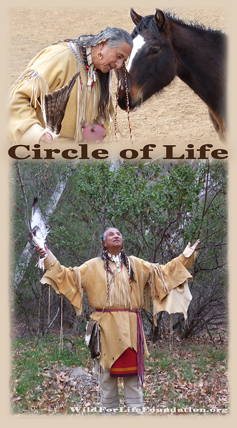 Chief Daniel's WFLF Circle of Life